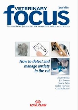 How to detect and manage anxiety in the cat